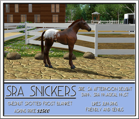 SRA Snickers